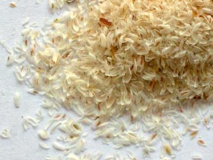 Psyllium Husk Manufacturer Supplier Wholesale Exporter Importer Buyer Trader Retailer in Mumbai Maharashtra India